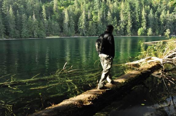 Trilha pela Cathedral Grove, na estrada para Tofino, em Vancouver Island, na British Columbia, no Canadá